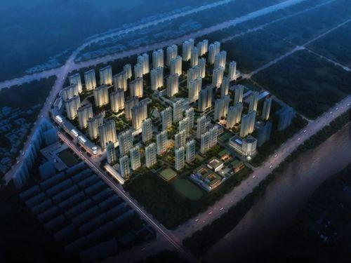 高远森林城最新爆料,揭秘生态宜居新地标背后的故事  第2张